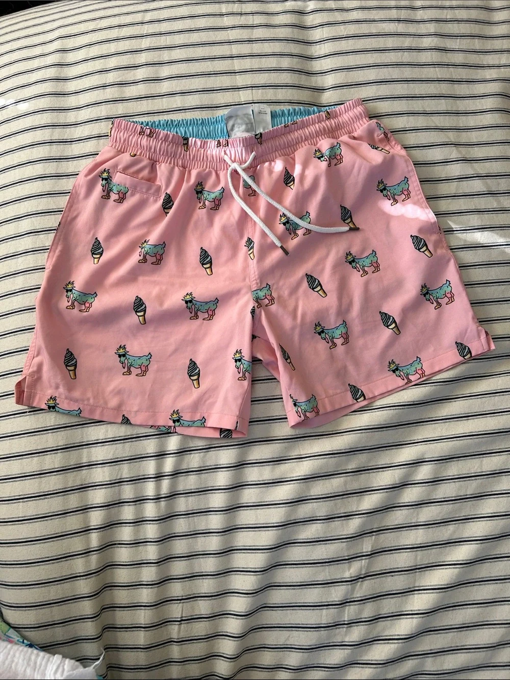 EUC S Men’s Goat USA Swim Shorts